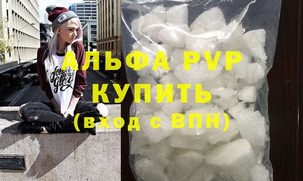 индика Пересвет