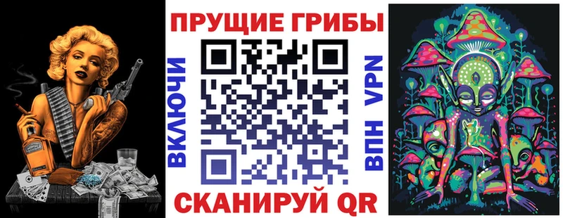 Галлюциногенные грибы мицелий  кракен ССЫЛКА  Ессентукская 